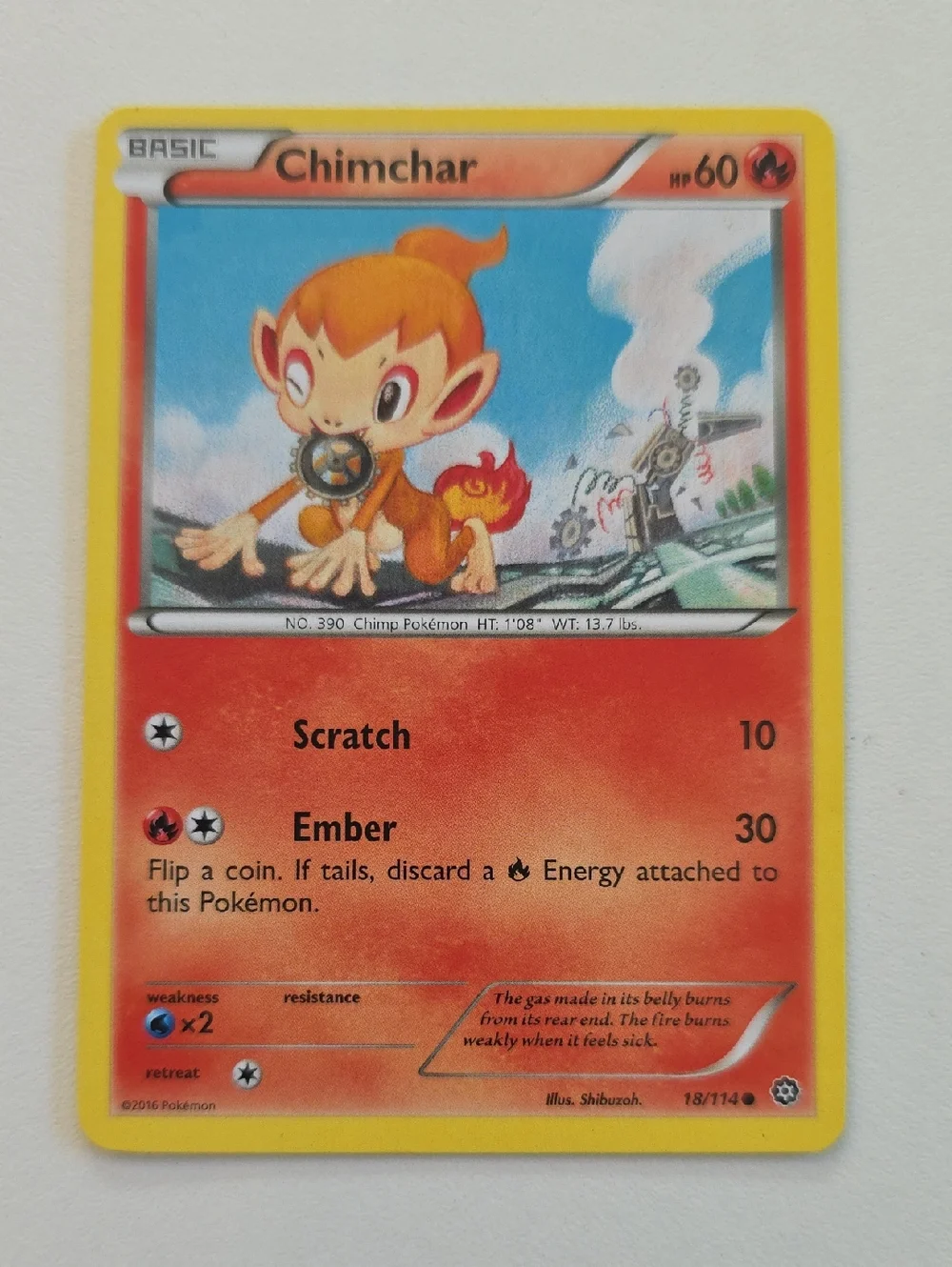 Pokemon Chimchar Card Set